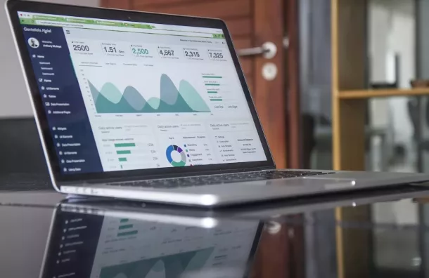 Unveiling the Root of Your SEO Success: Conducting an Organic Search Audit
